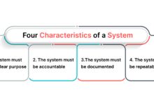 system development life cycle